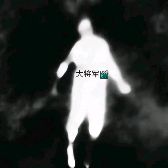 大将军🎬