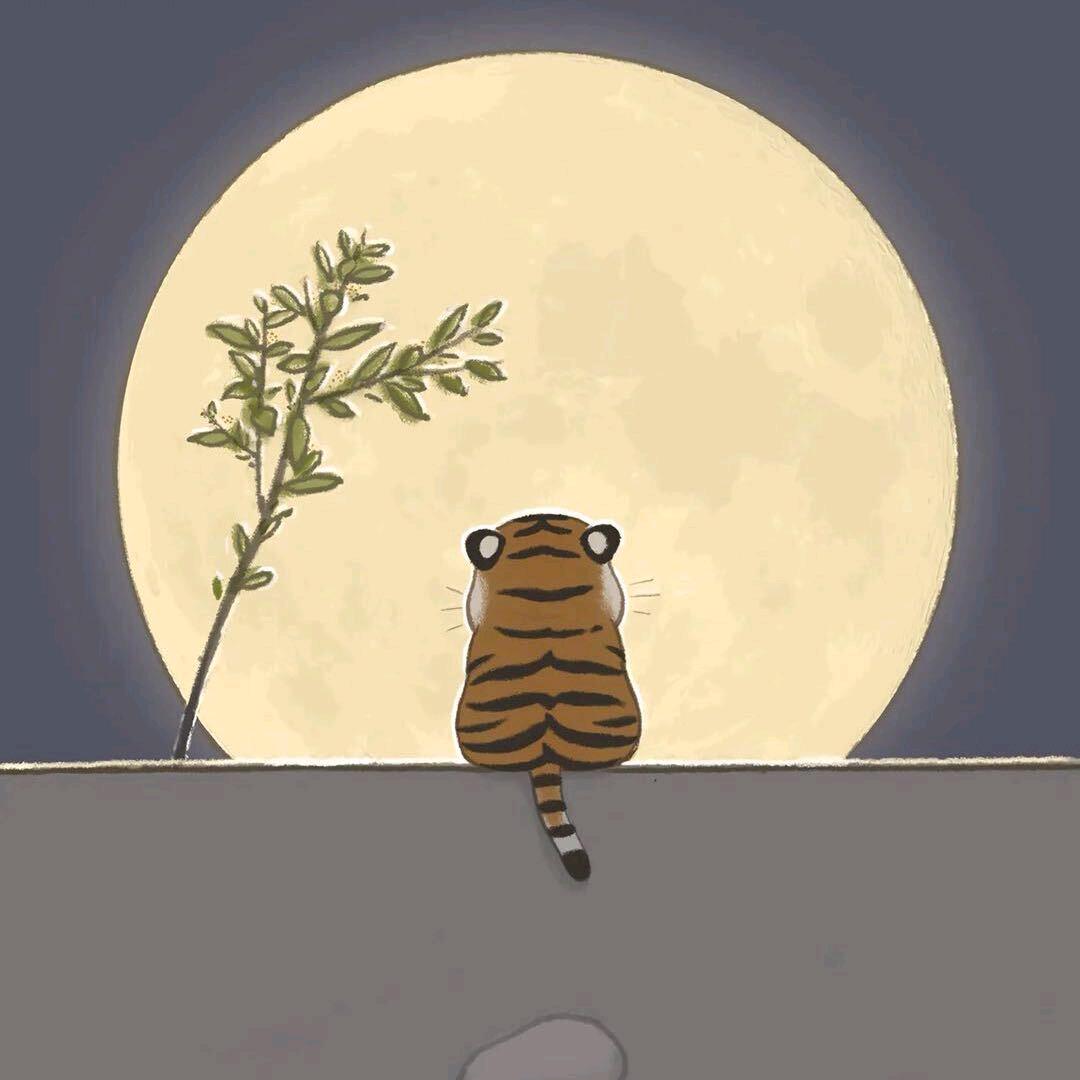 小老虎🐯