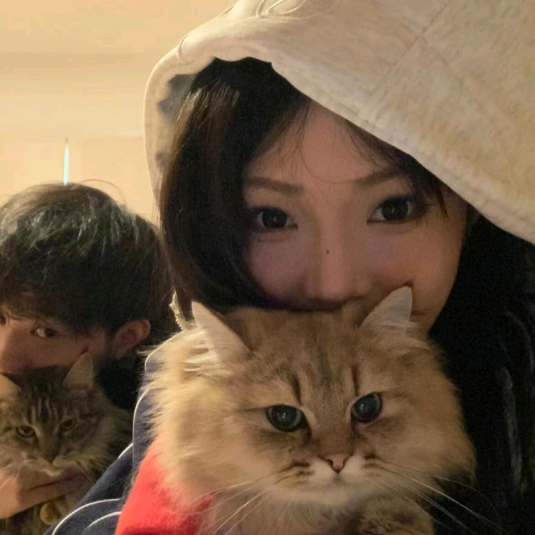 冷静期🦊