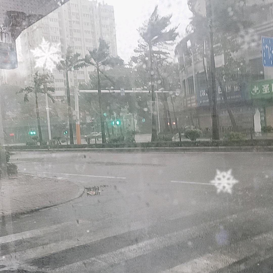 台风“桦加沙”