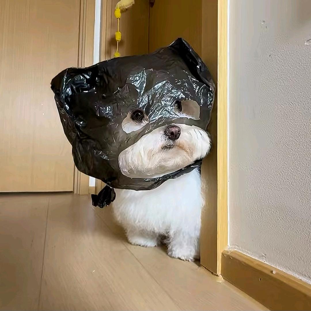 小玄儿～