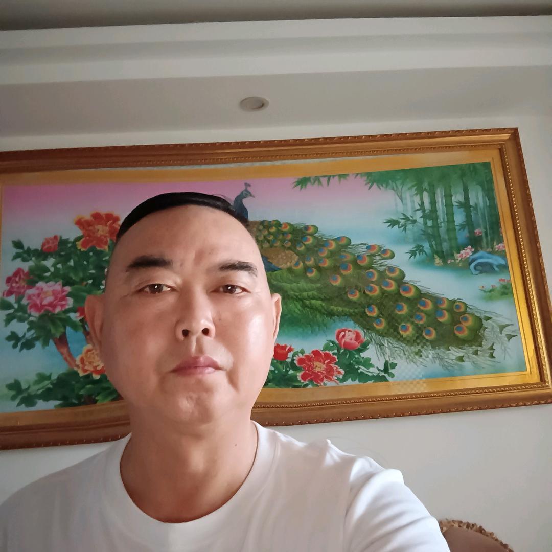 杨哥为您服务