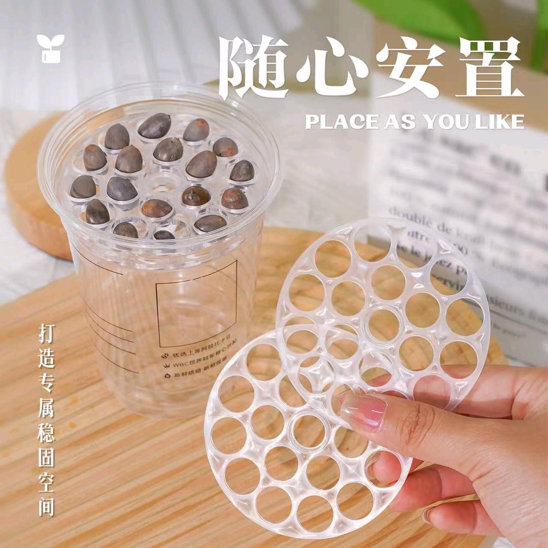 植伴与你