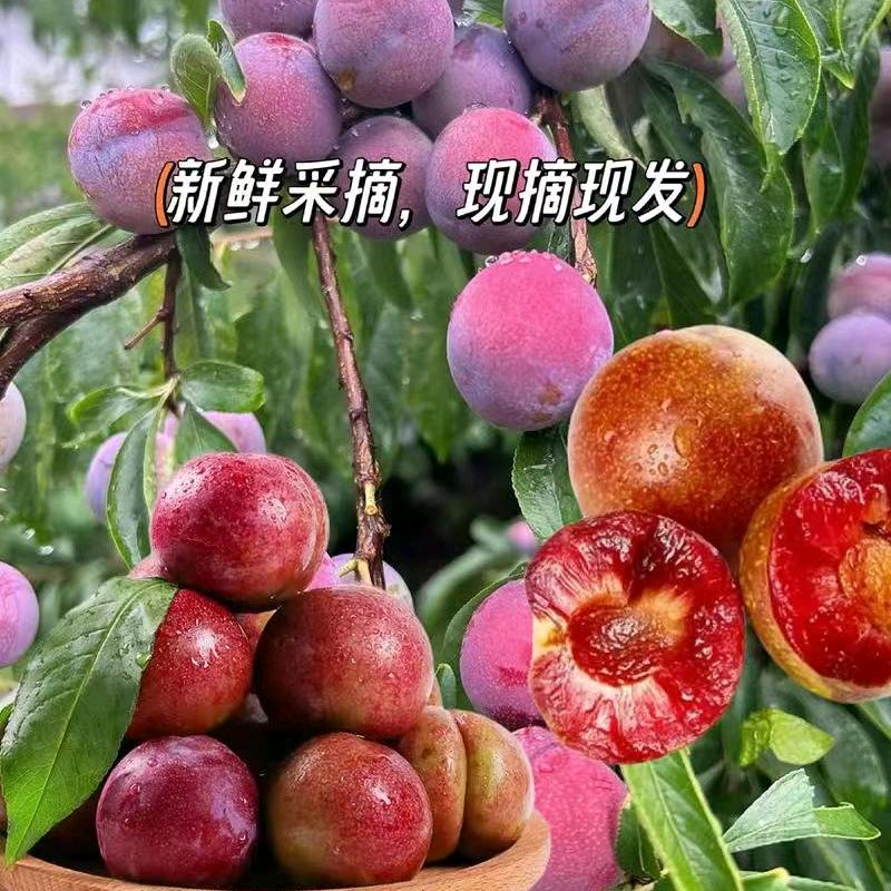 果乐乐果园农产品
