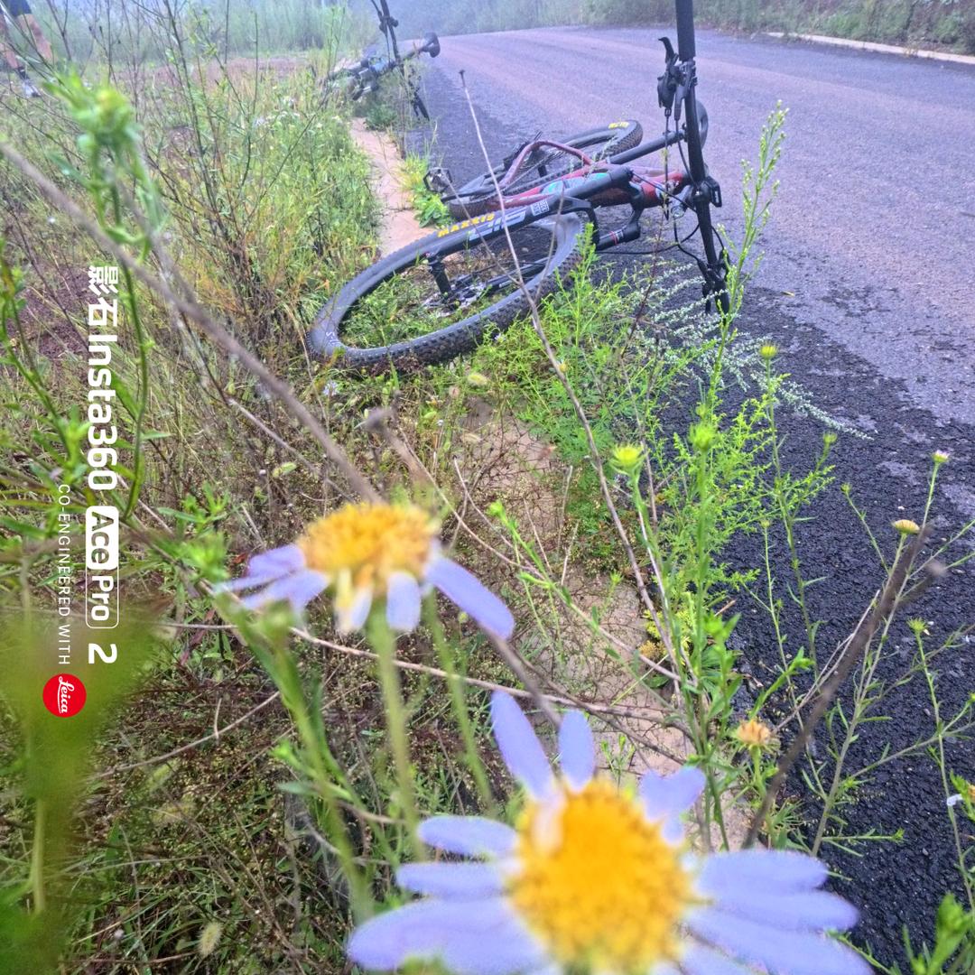 💐小草💐