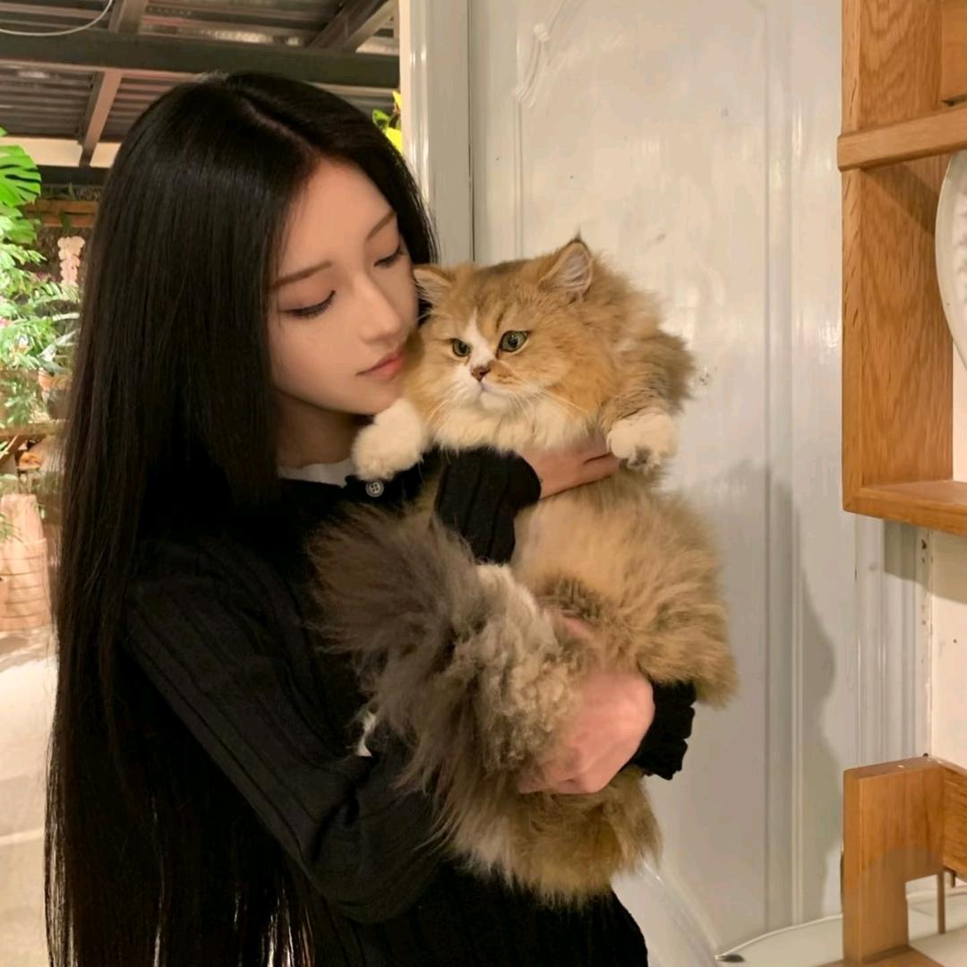 雾☾⋆