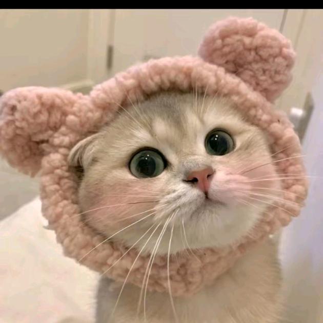 🍡