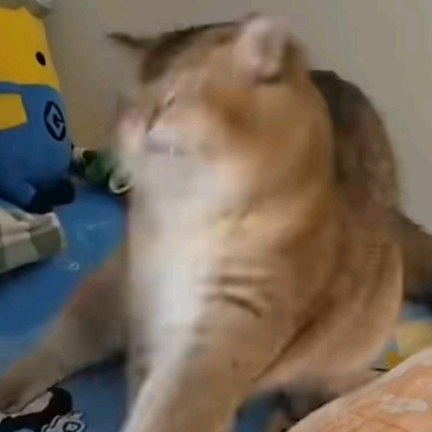 巳江