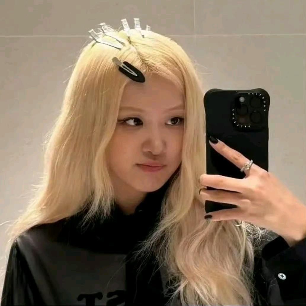 洋芋