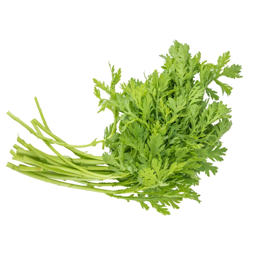 我好像做了一个超大杯的梦