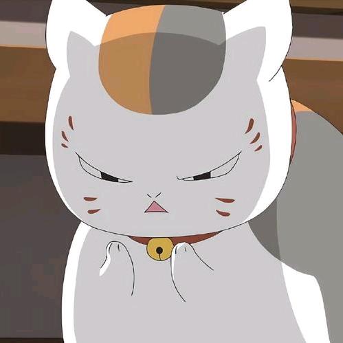 精神高度濒危病人