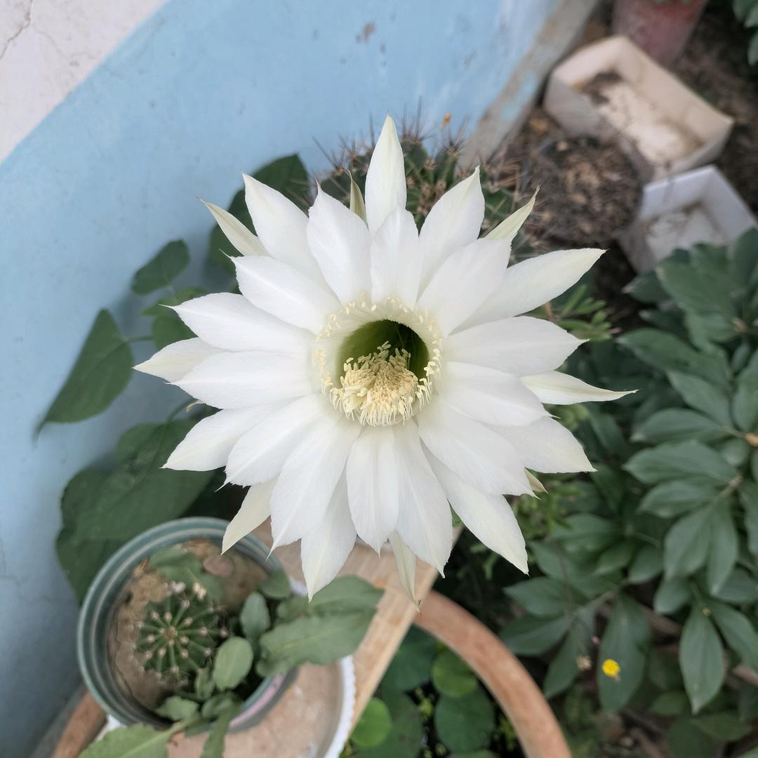 锦绣蔚来家纺
