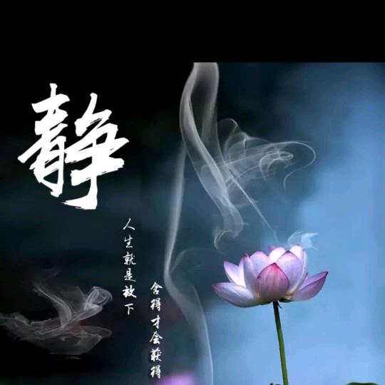 🌻岁月静好