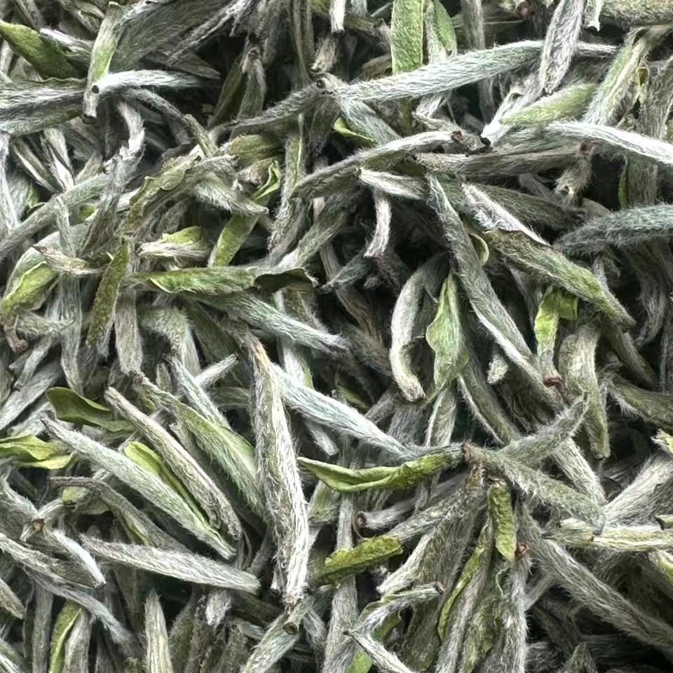 王志