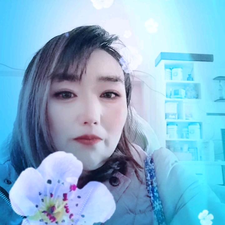 肖歌