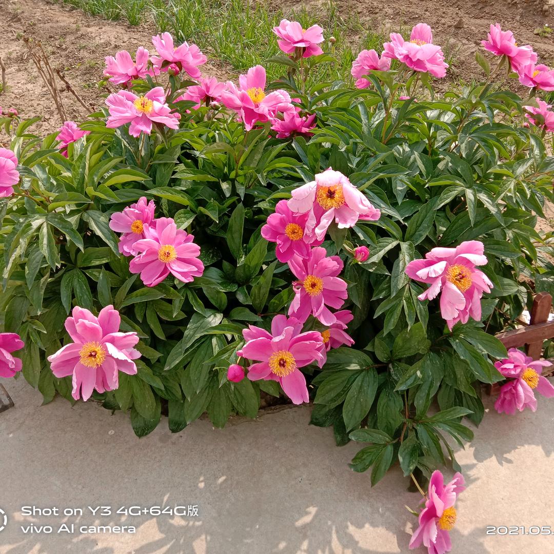 ໑ຼₒ໑ຼ₅关闭💝烦恼࿐