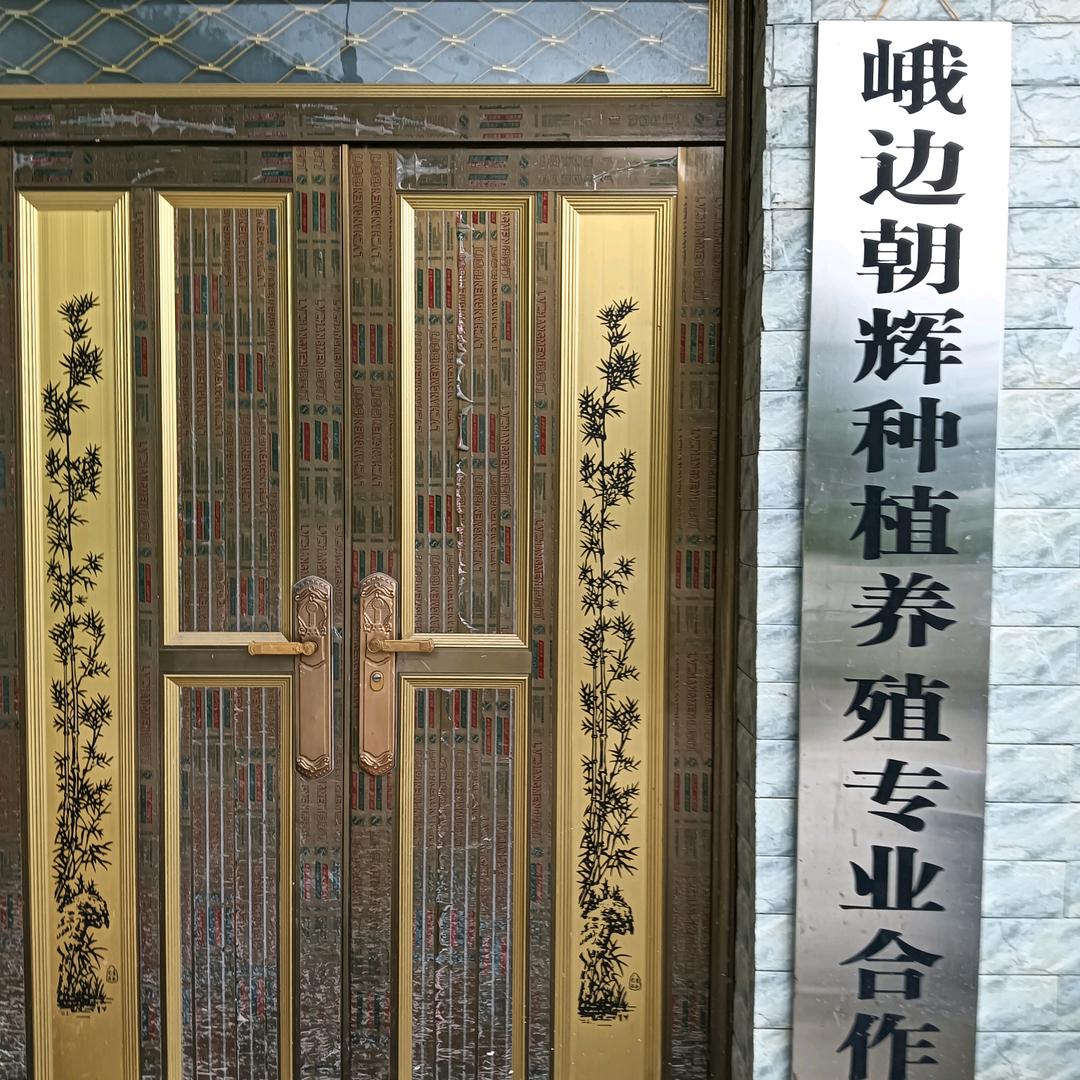 受伤的总是我