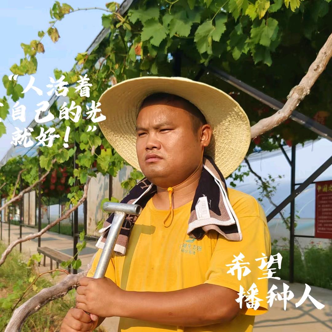 卖葡萄的村干部