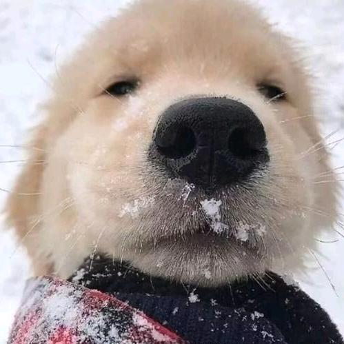 人傻又穷，还不帅