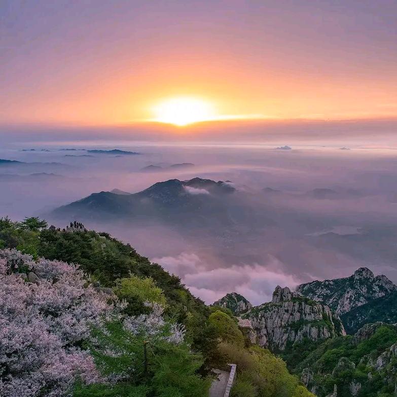 🐅🌅日落西山又是一天🌇🌛🇨🇳