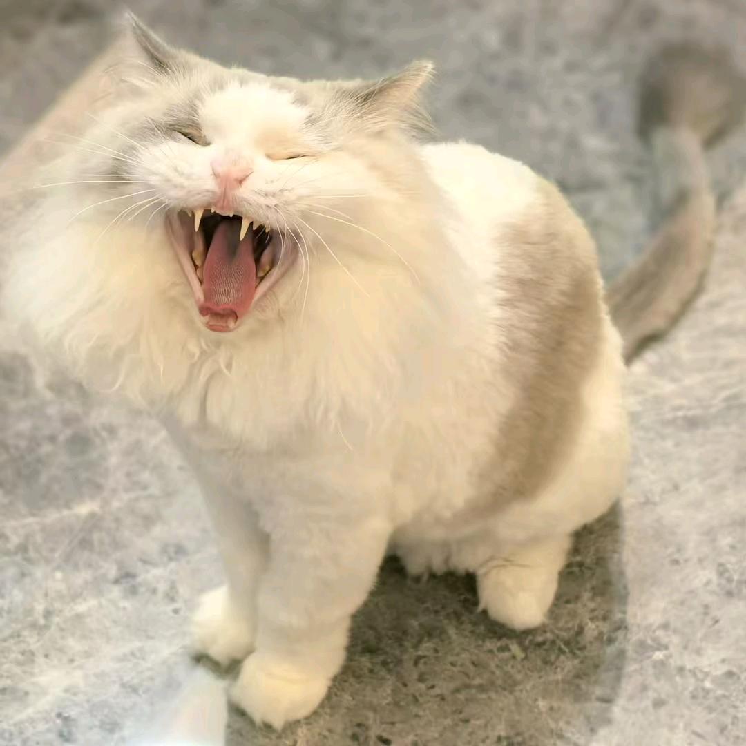 佑先生
