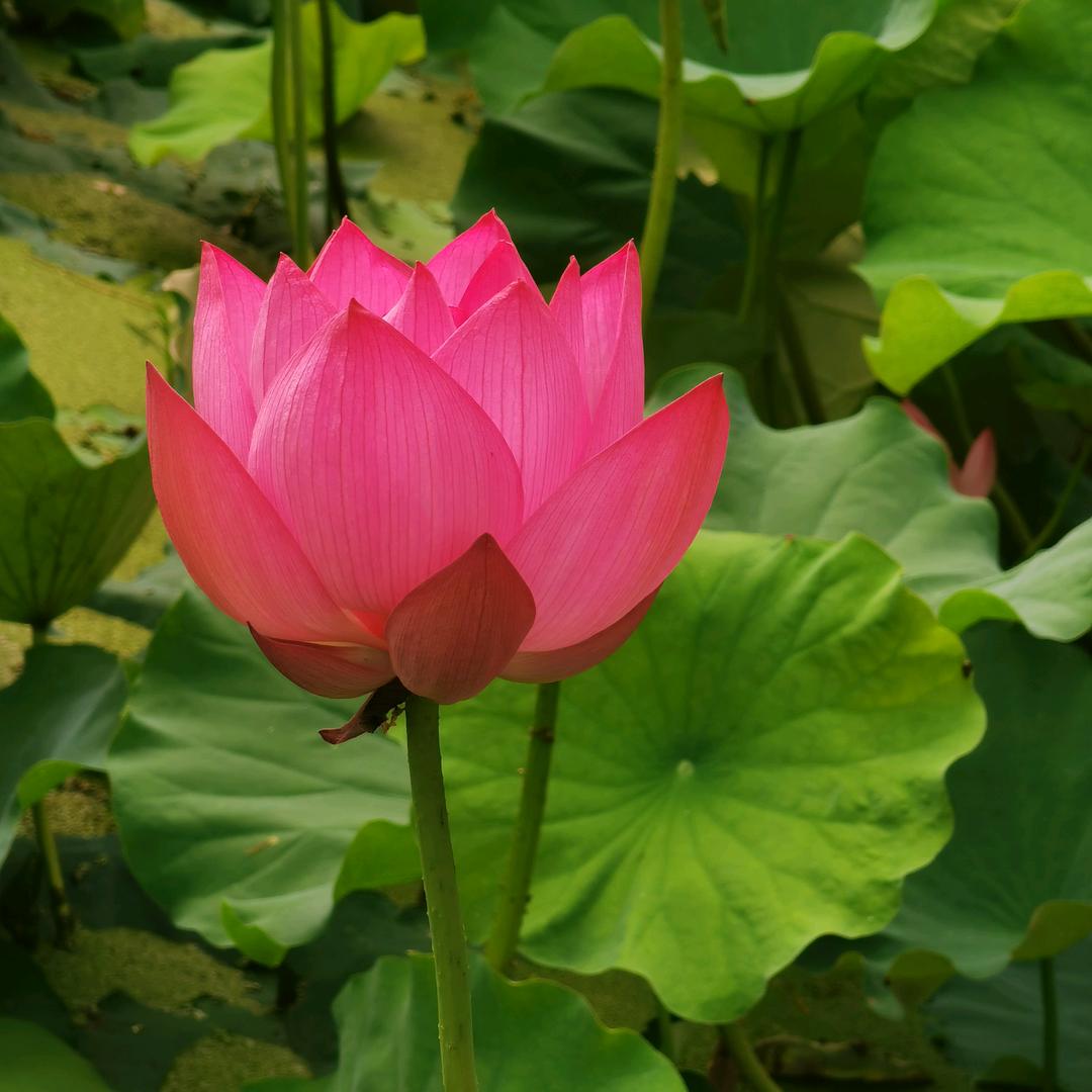 ི་ྀ🐟ི་ྀ芬ི་ྀ🐟ི་