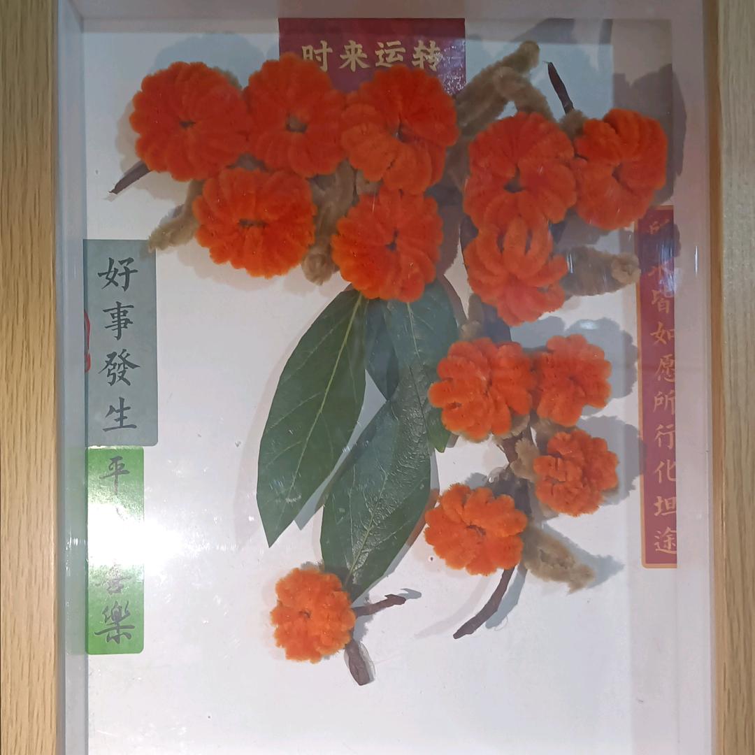 月儿追剧
