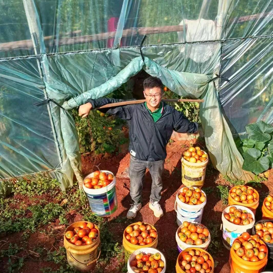 建水金穗丰农资—施兴美
