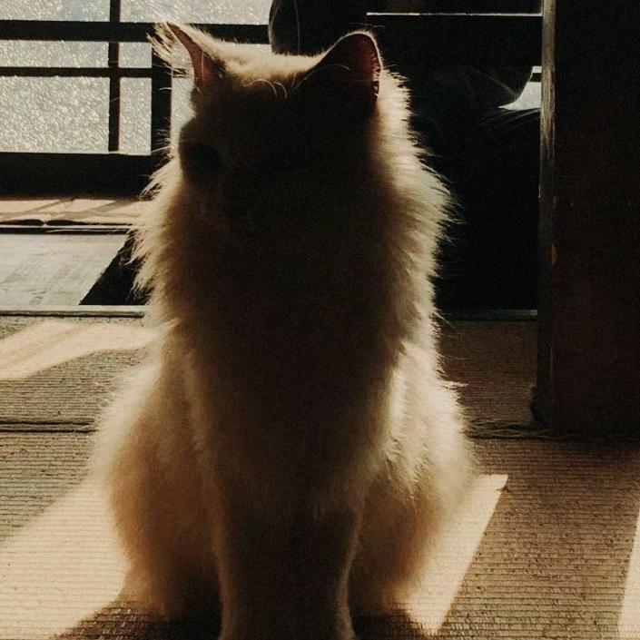 还是困