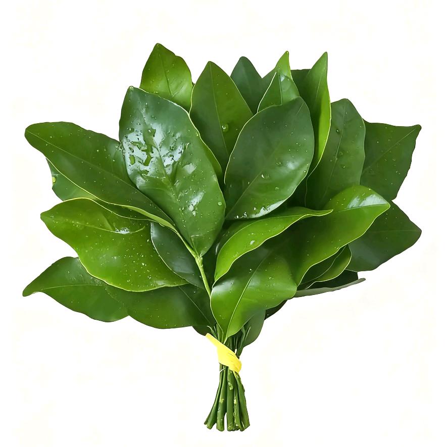 爱情废柴