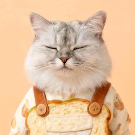 小韩不会三步篮🏀