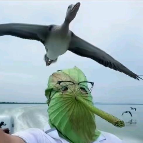 才发觉