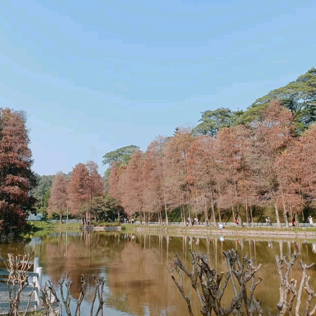 AA
