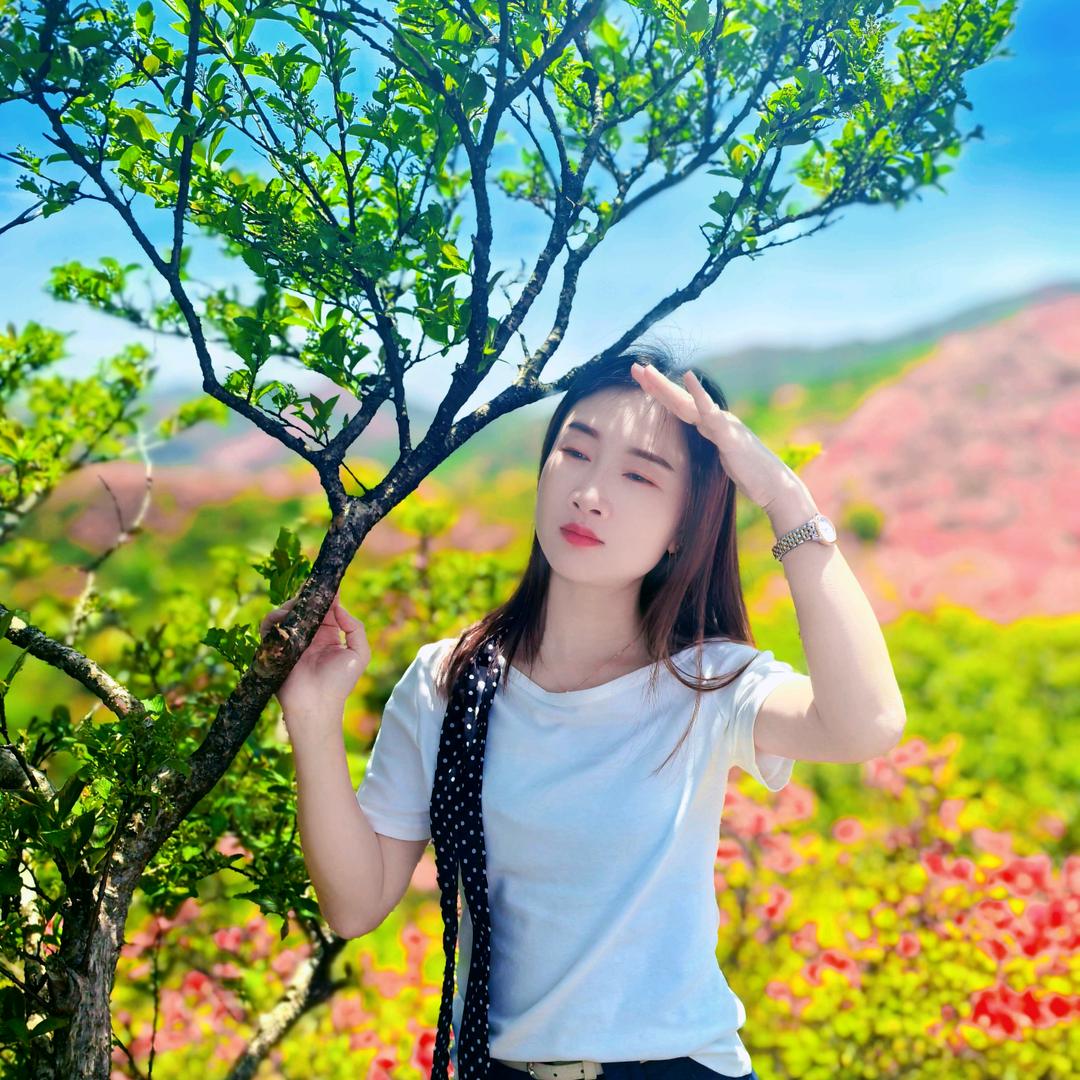 小趴菜🥬
