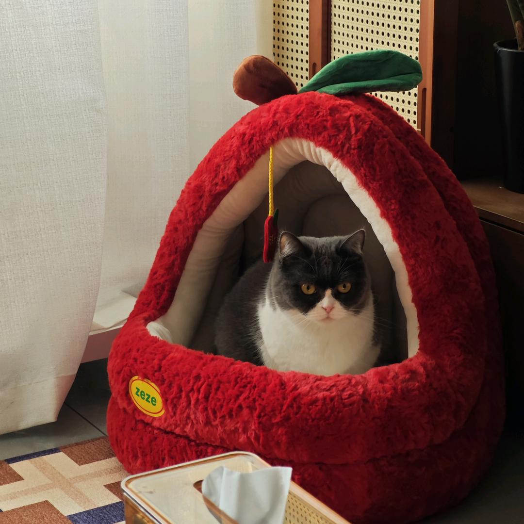 重生之我在西冰库大酒店强卖淀粉肠