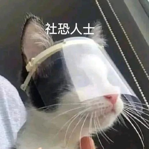 95牛马下班后的音乐日记