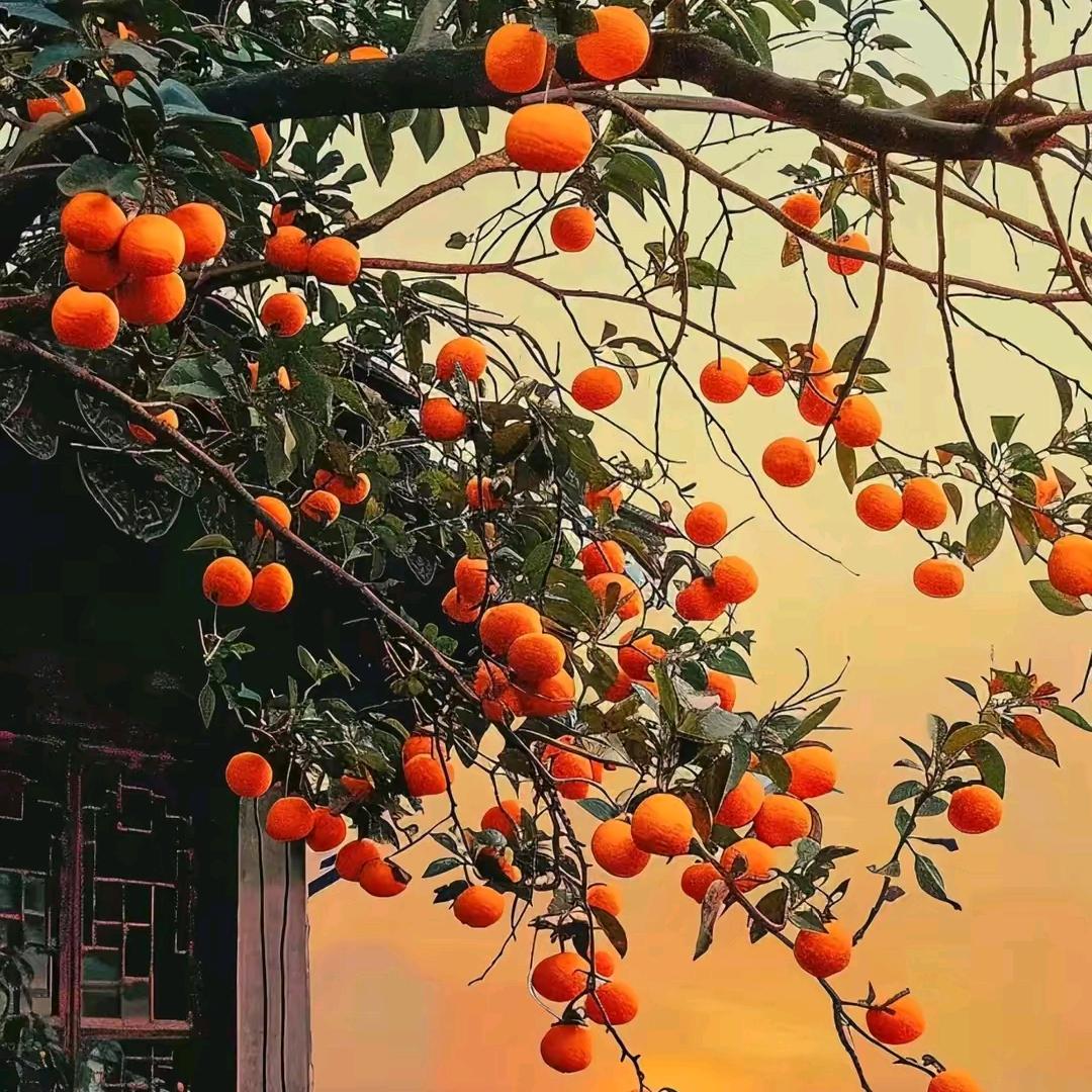 王同学🏸