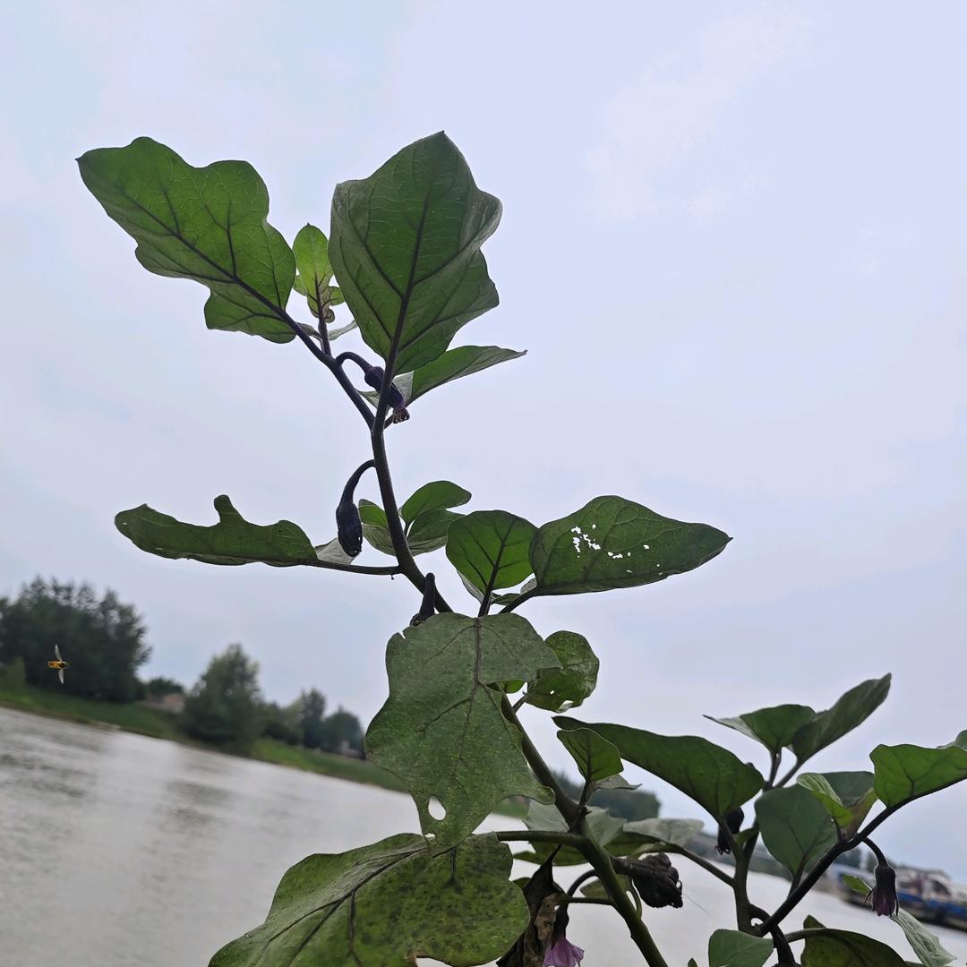回忆