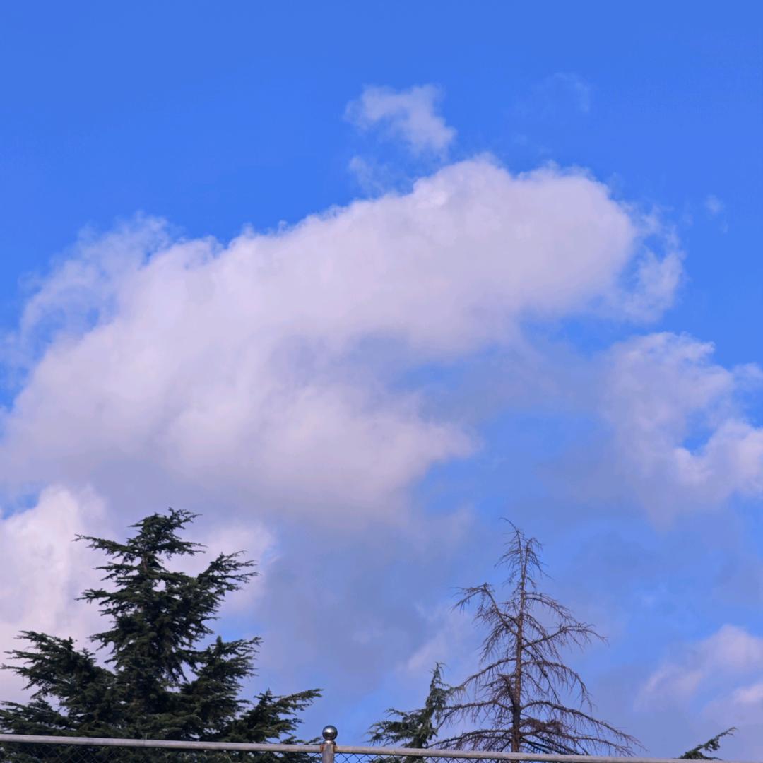 零。。。～