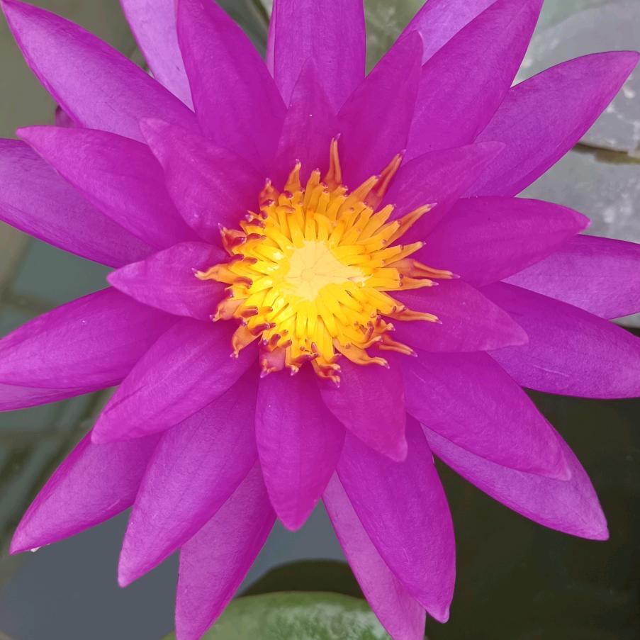 🌻开心每一天🌻