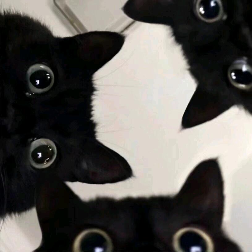 蠂䗁