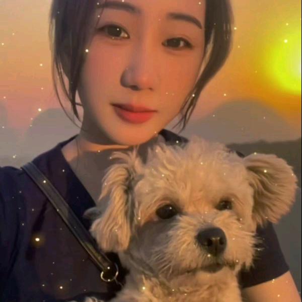 小搭子