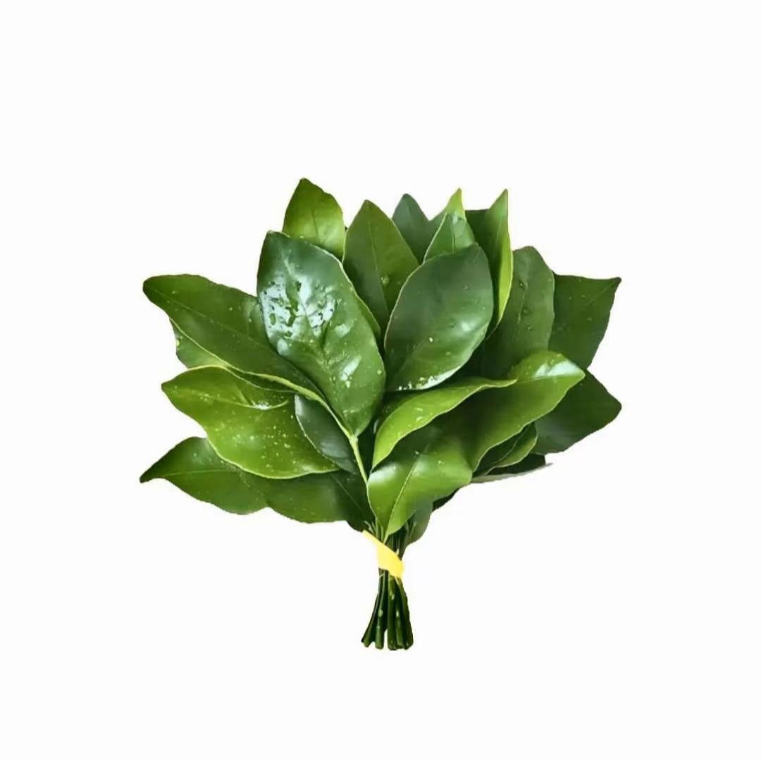 暴躁小i鱼