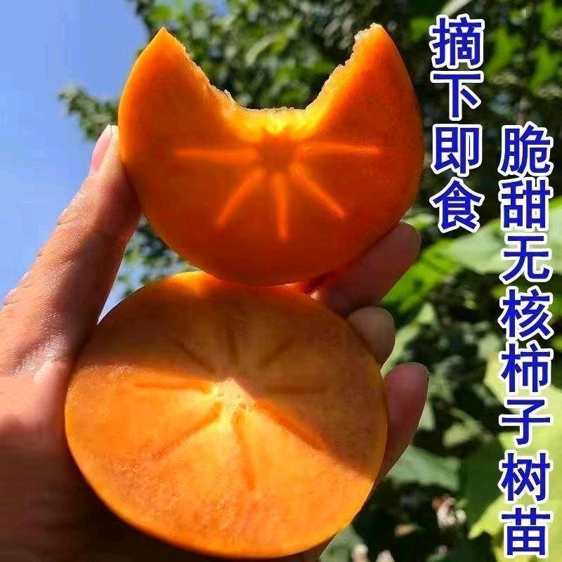 农美年花卉苗木专卖店