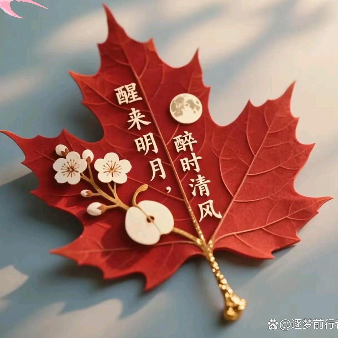 🦋ꦿ໊颖᭄🕊᭄ꦿᩚ٭