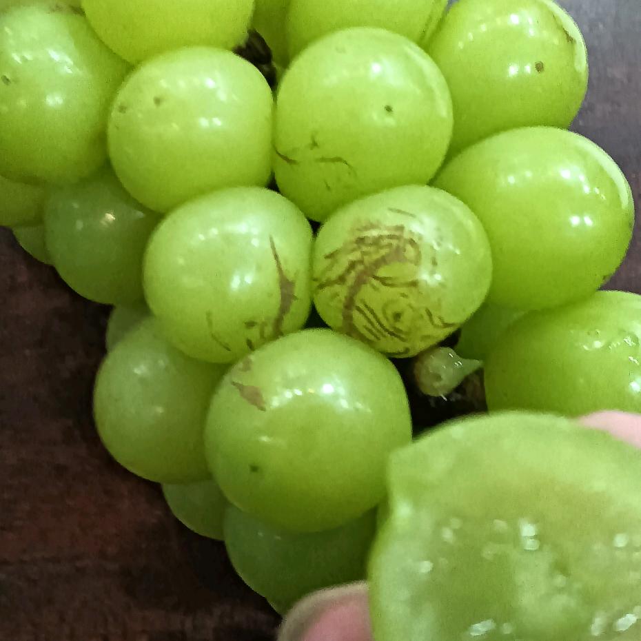 感谢你来过