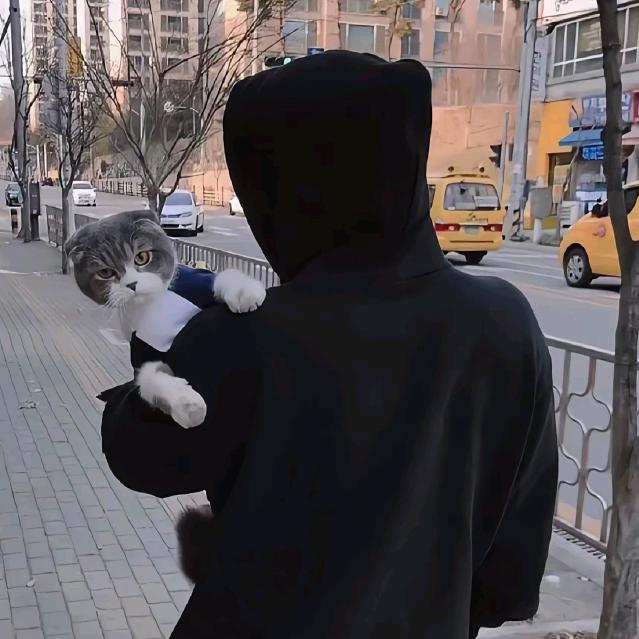 上班睡不醒下班睡不着