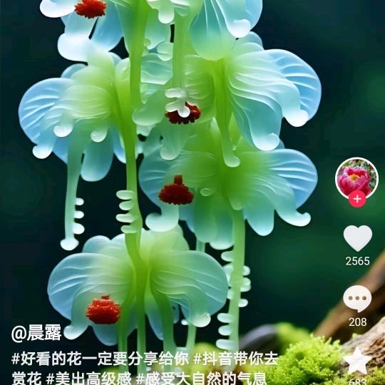@一生有你1838656537