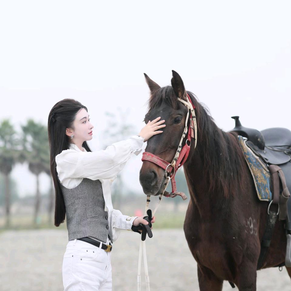 玉龙马术俱乐部