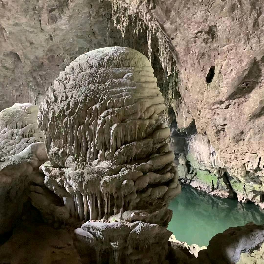 龍哥